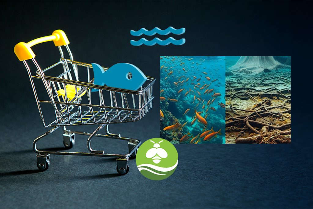Grocery cart with fish icon and marine reef destruction images displayed on a black background.