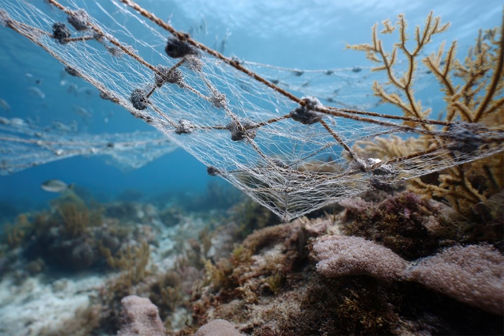 An intricate setup of underwater vision nets strategically placed around a coral reef gathering visual data and environmental metrics with a focus on coral coloration and fish population